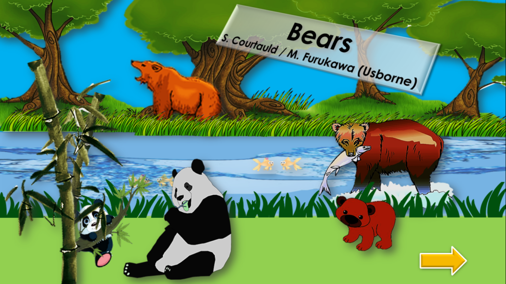 Bears