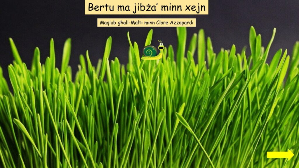 Bertu ma jibża minn xejn