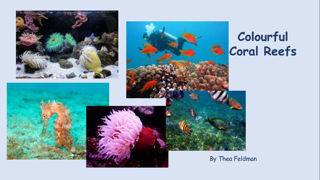 Colourful Coral Reefs