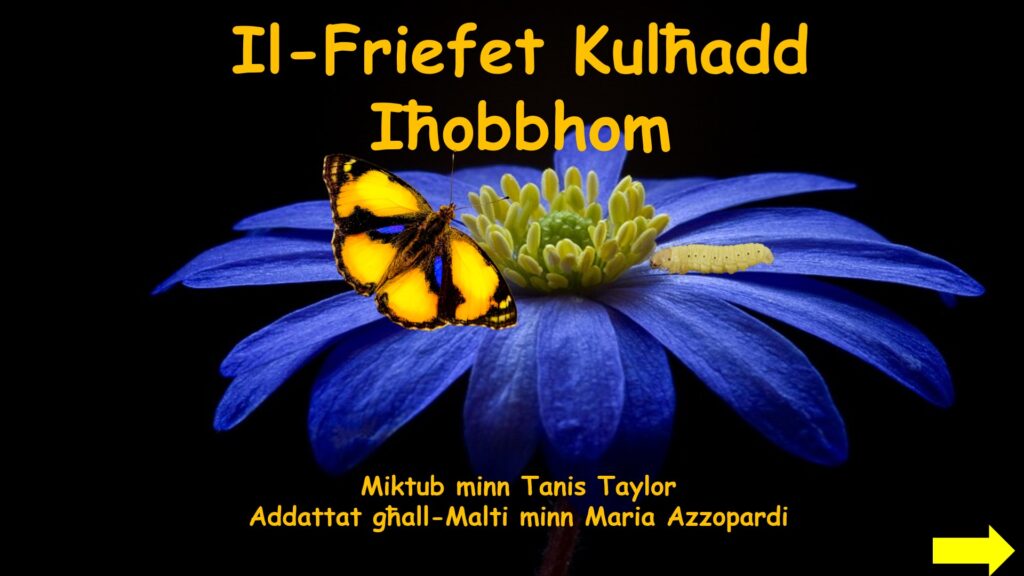 Il-Friefet Kulħadd Iħobbhom