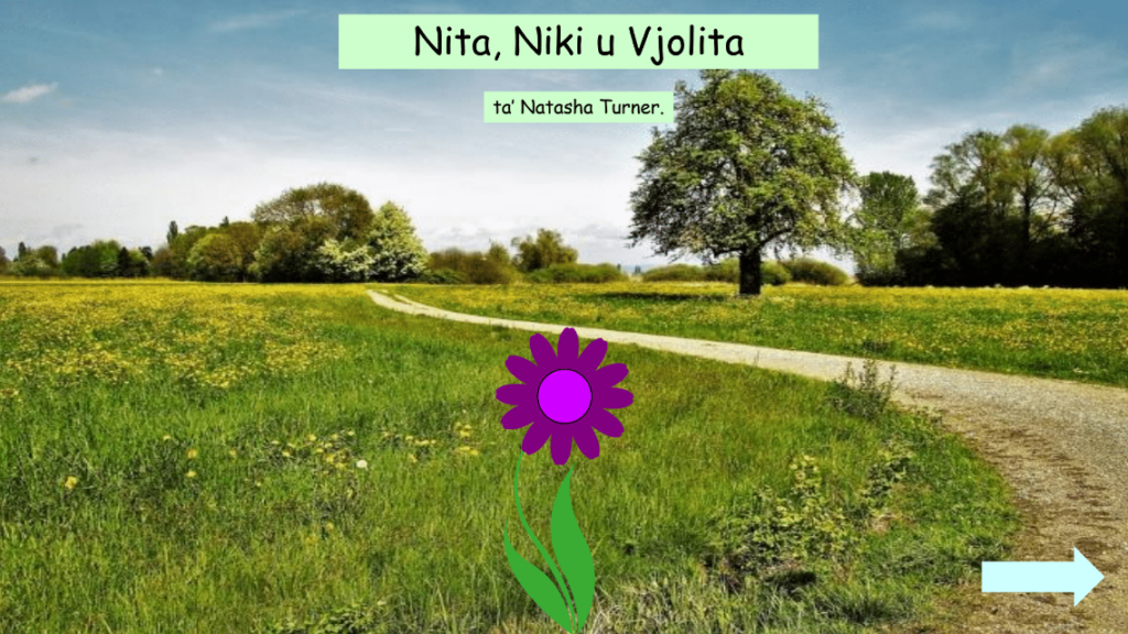 Nita u vjolita