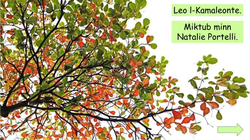 leo l-kalamaonte