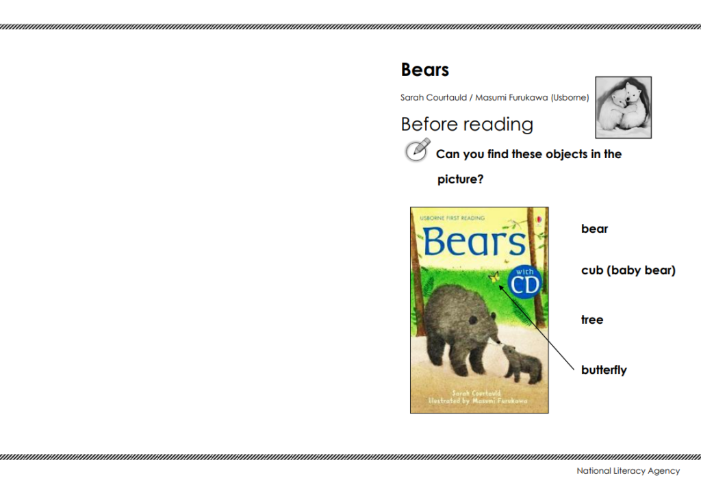 Bears