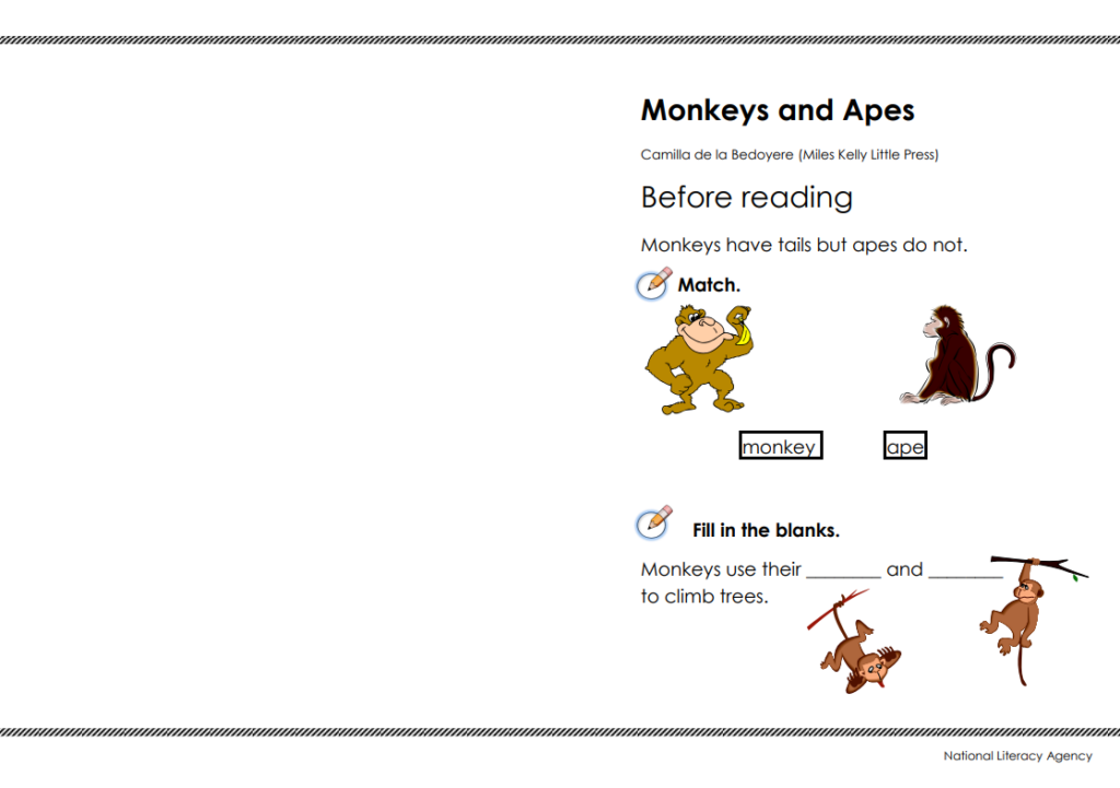 Monkeys and Apes