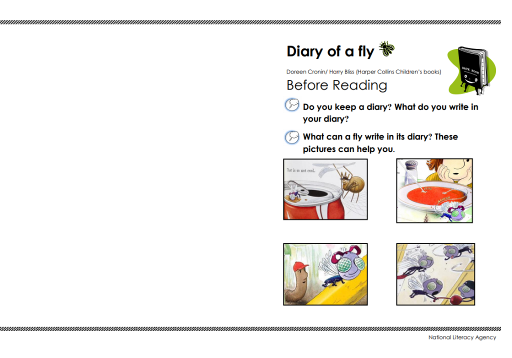 Diary of a fly