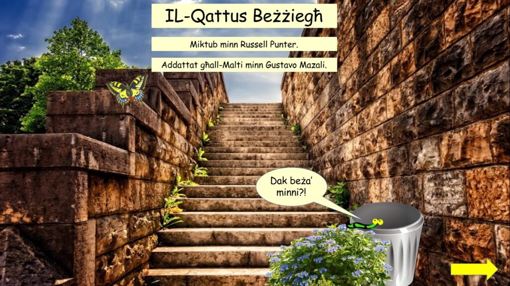 qattus bezziegħ
