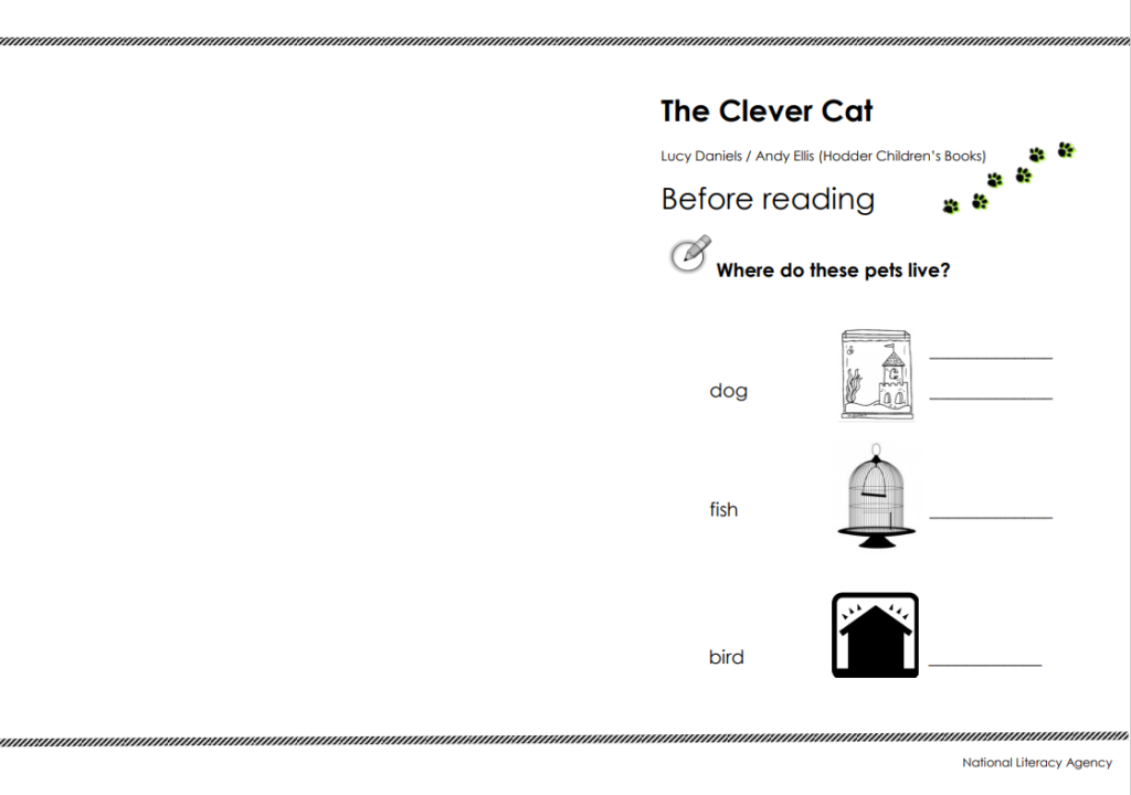 the clever cat