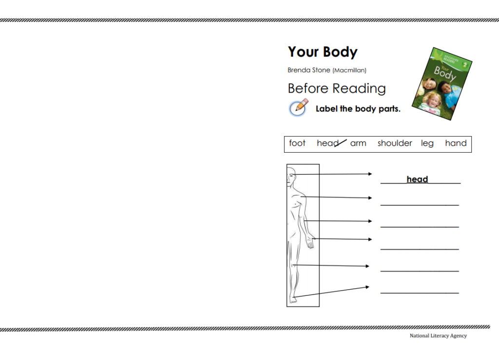 your body