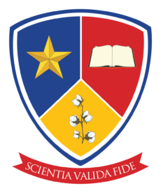 DLS Logo