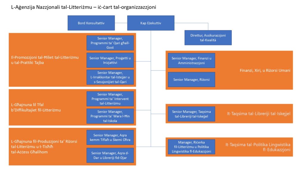 Organisation Chart MT November 2024