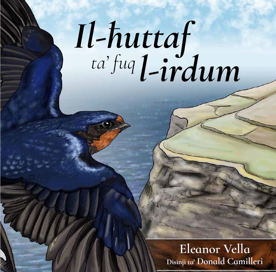 Il-huttaf ta' fuq l-irdum