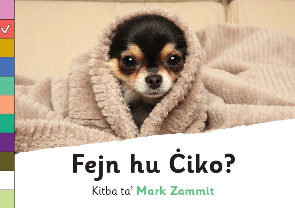Fejn hu Ċiko