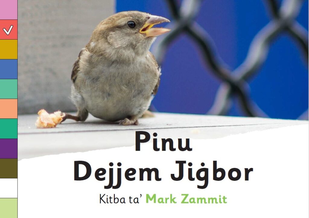Pinu Dejjem Jiġbor
