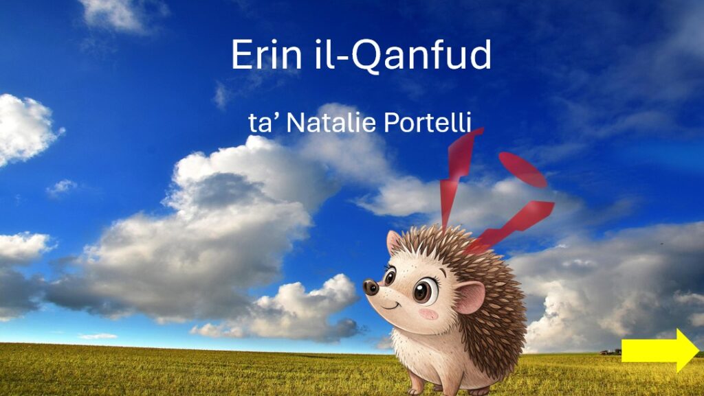 Erin il-Qanfud