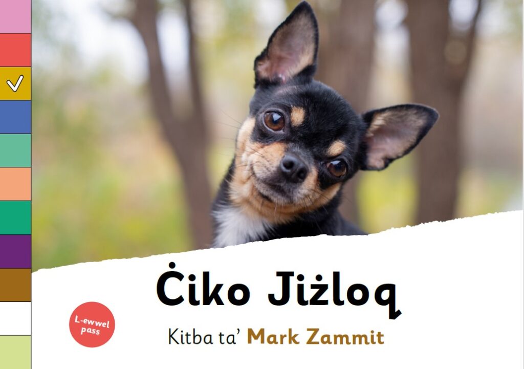 Ċiko Jiżloq