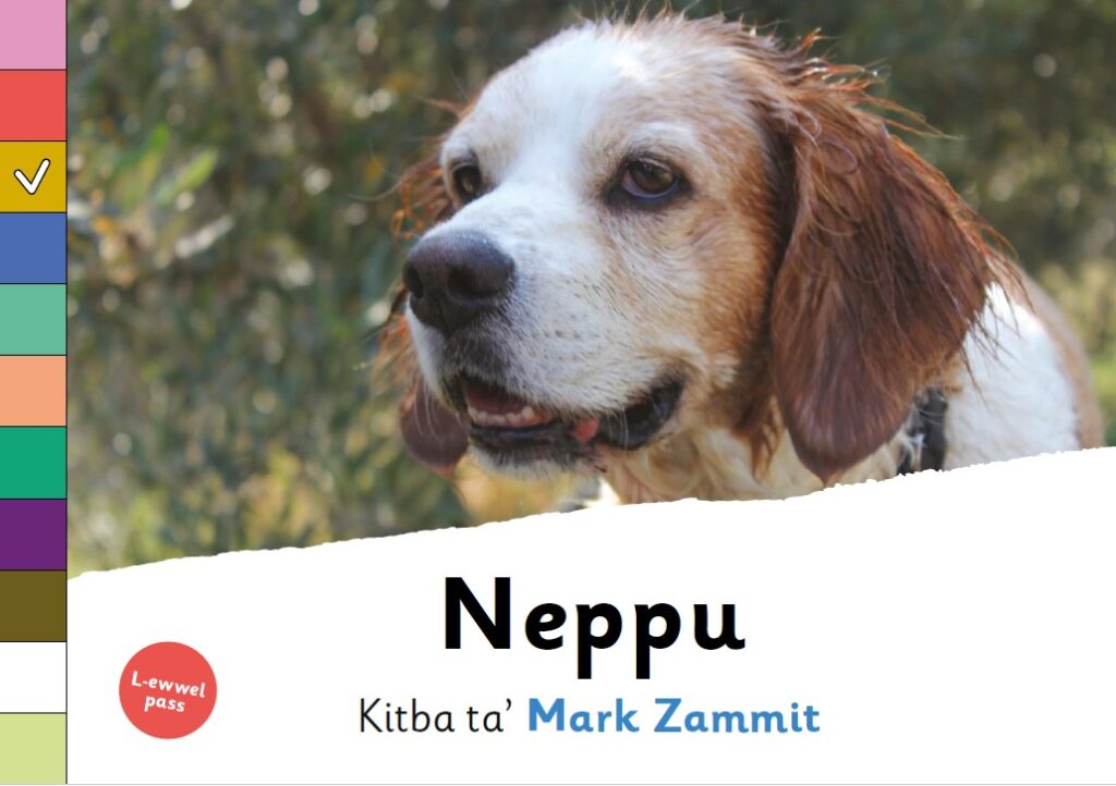 Neppu